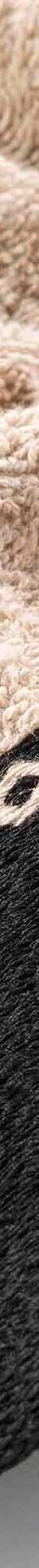 Éponge unie 450 g/m² liteau jacquard confort moelleux (sable) Éponge unie 450 g/m² liteau jacquard confort moelleux (sable)